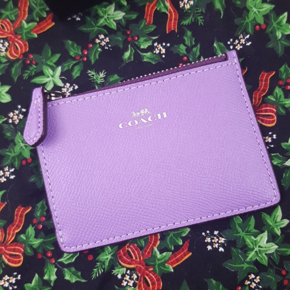 COACH MINI SKINNY ID Case Key Coin Wallet NWT